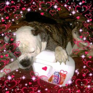 Meet your Posher, Betty